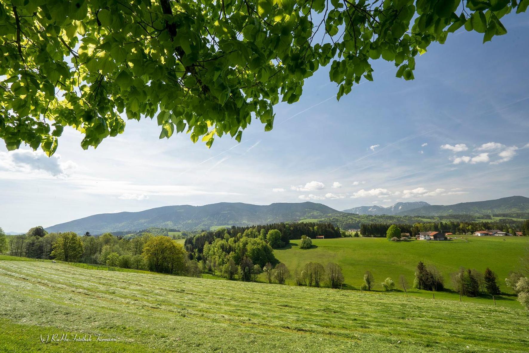 Monteurzimmer Am Teisenberg Neukirchen am Teisenberg Dış mekan fotoğraf